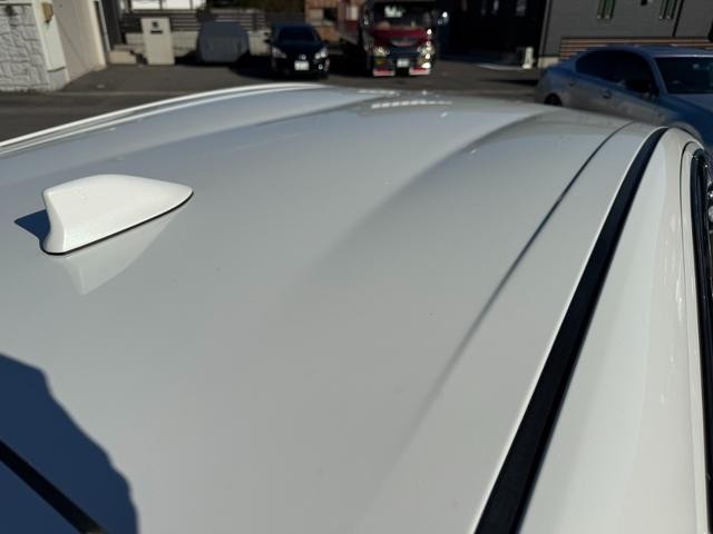 0904297A30261023W00215.jpg