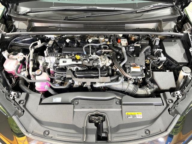 25904184_carP_l_12.jpg