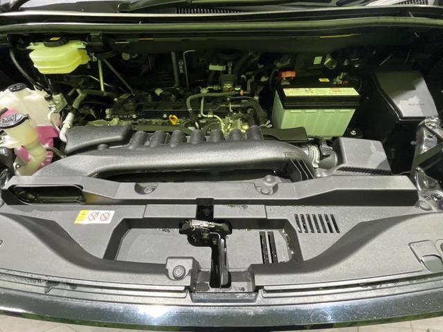 24340315_carP_l_18.jpg