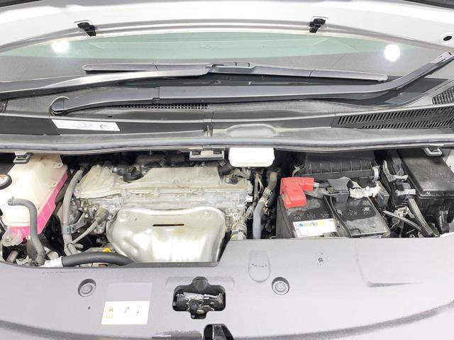 24462167_carP_l_16.jpg