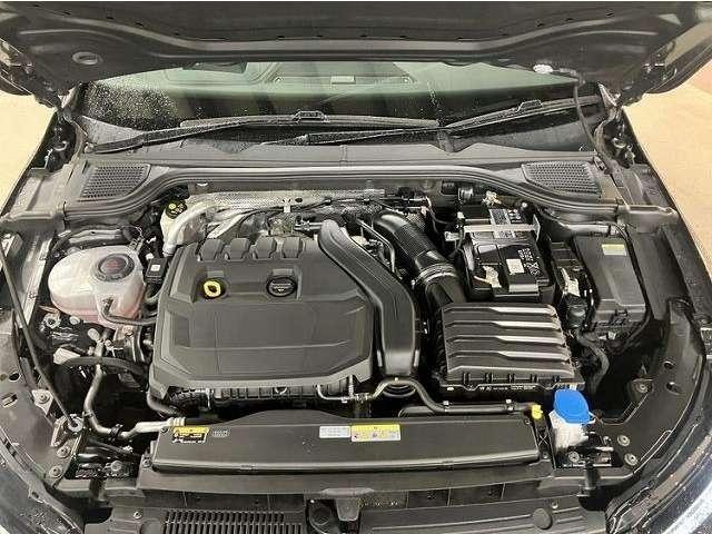 24977352_carP_l_17.jpg