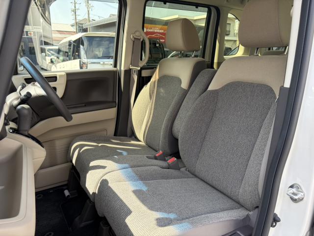 23695748_carP_l_16.jpg