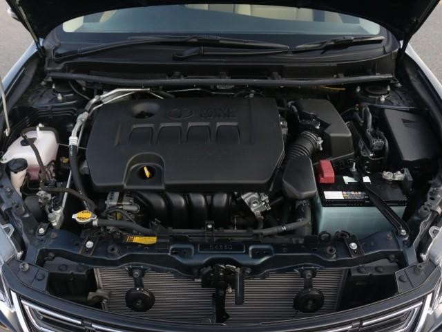 26257408_carP_l_17.jpg