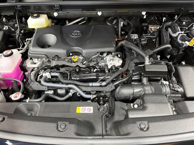 24994277_carP_l_16.jpg