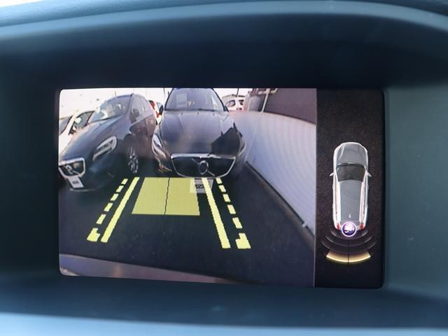 25668388_carP_l_16.jpg