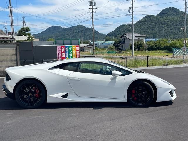 0206702A30260811W00206.jpg