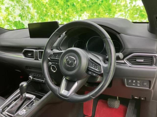 22909698_carP_l_9.jpg