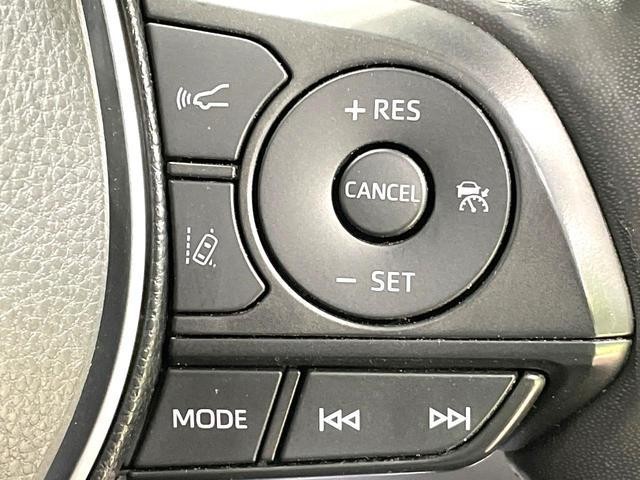 25550330_carP_l_13.jpg