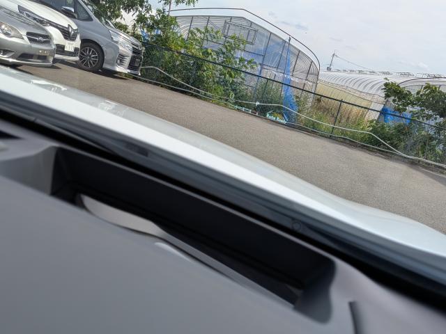 24659638_carP_l_8.jpg