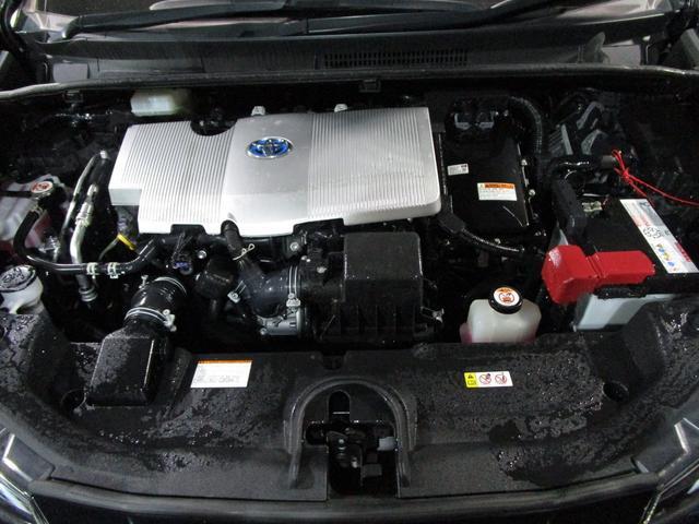 24659985_carP_l_20.jpg