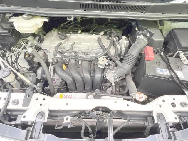 24869520_carP_l_16.jpg