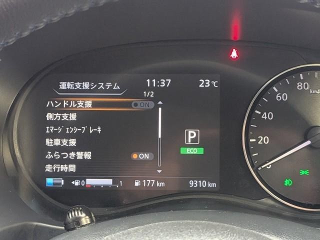 26298757_carP_l_12.jpg