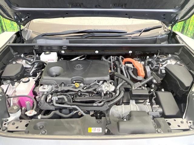 26314449_carP_l_18.jpg