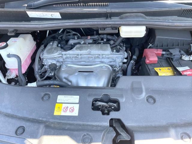 25117313_carP_l_18.jpg