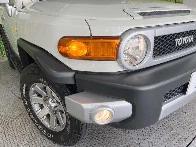 23301396_carP_l_7.jpg