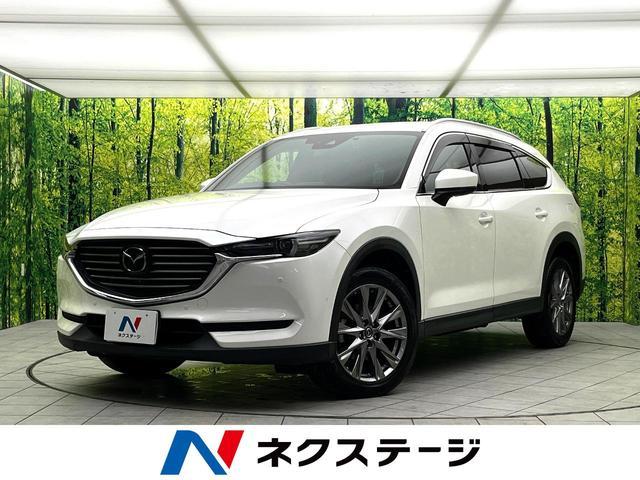 26751258_carP_l_1.jpg
