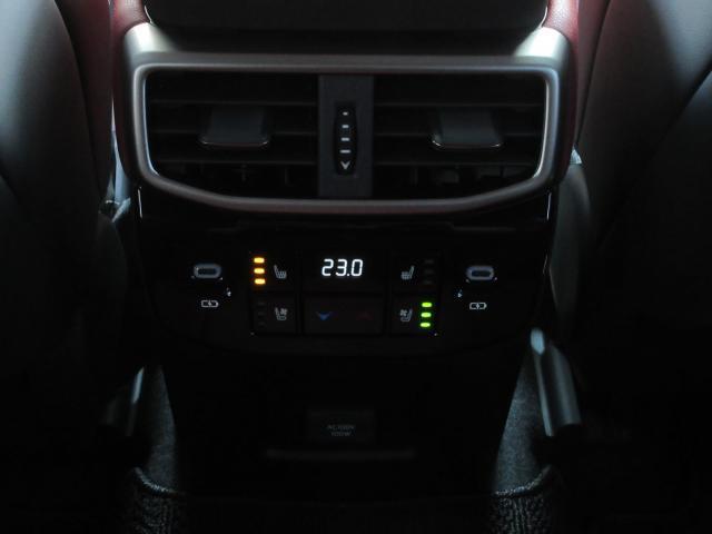24979112_carP_l_7.jpg