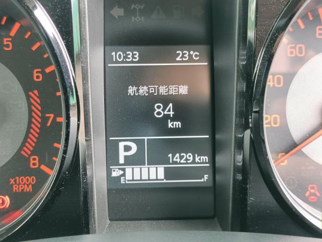 25050486_carP_l_8.jpg