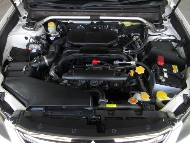 24045784_carP_l_20.jpg