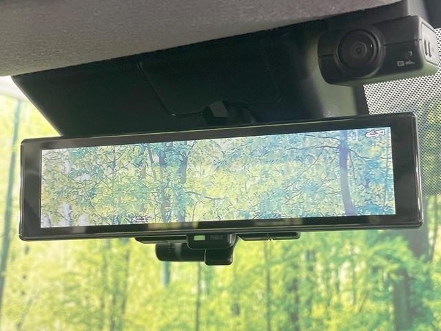 25445654_carP_l_14.jpg