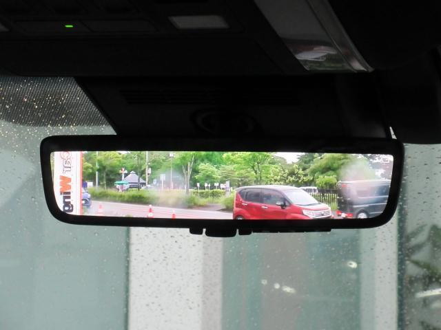 24979124_carP_l_20.jpg