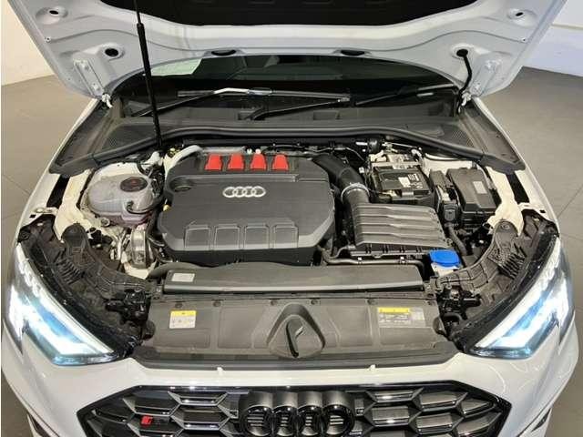 27069937_carP_l_9.jpg