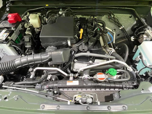 24380718_carP_l_16.jpg