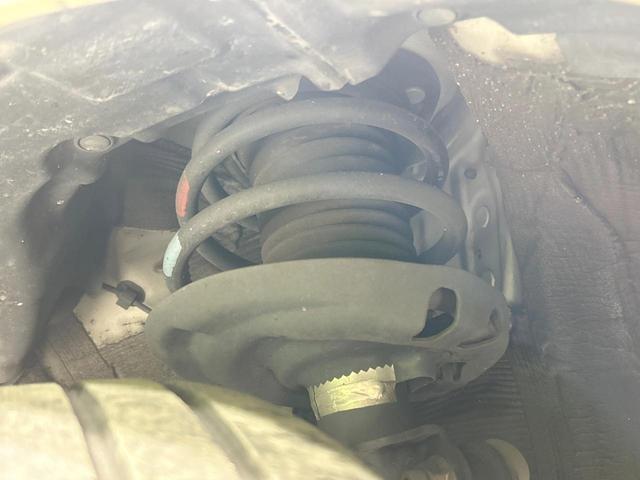 24542085_carP_l_20.jpg