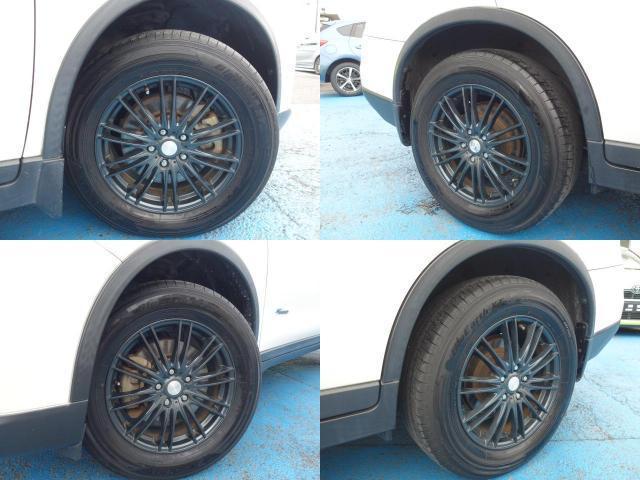 23794376_carP_l_19.jpg