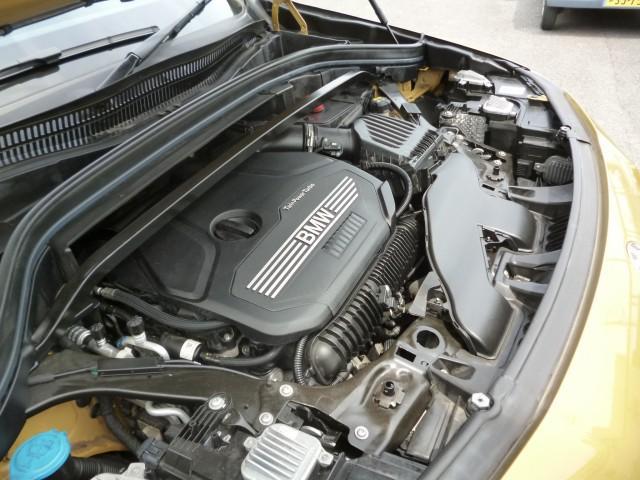 24665698_carP_l_17.jpg