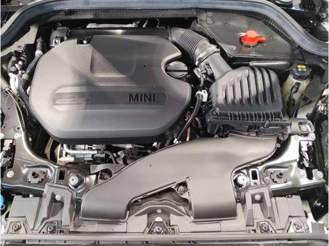24295737_carP_l_7.jpg