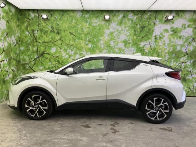 25338744_carP_l_3.jpg
