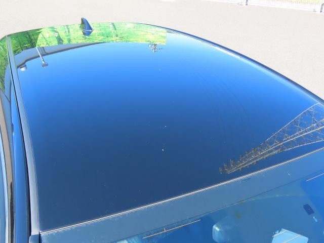 26876813_carP_l_12.jpg