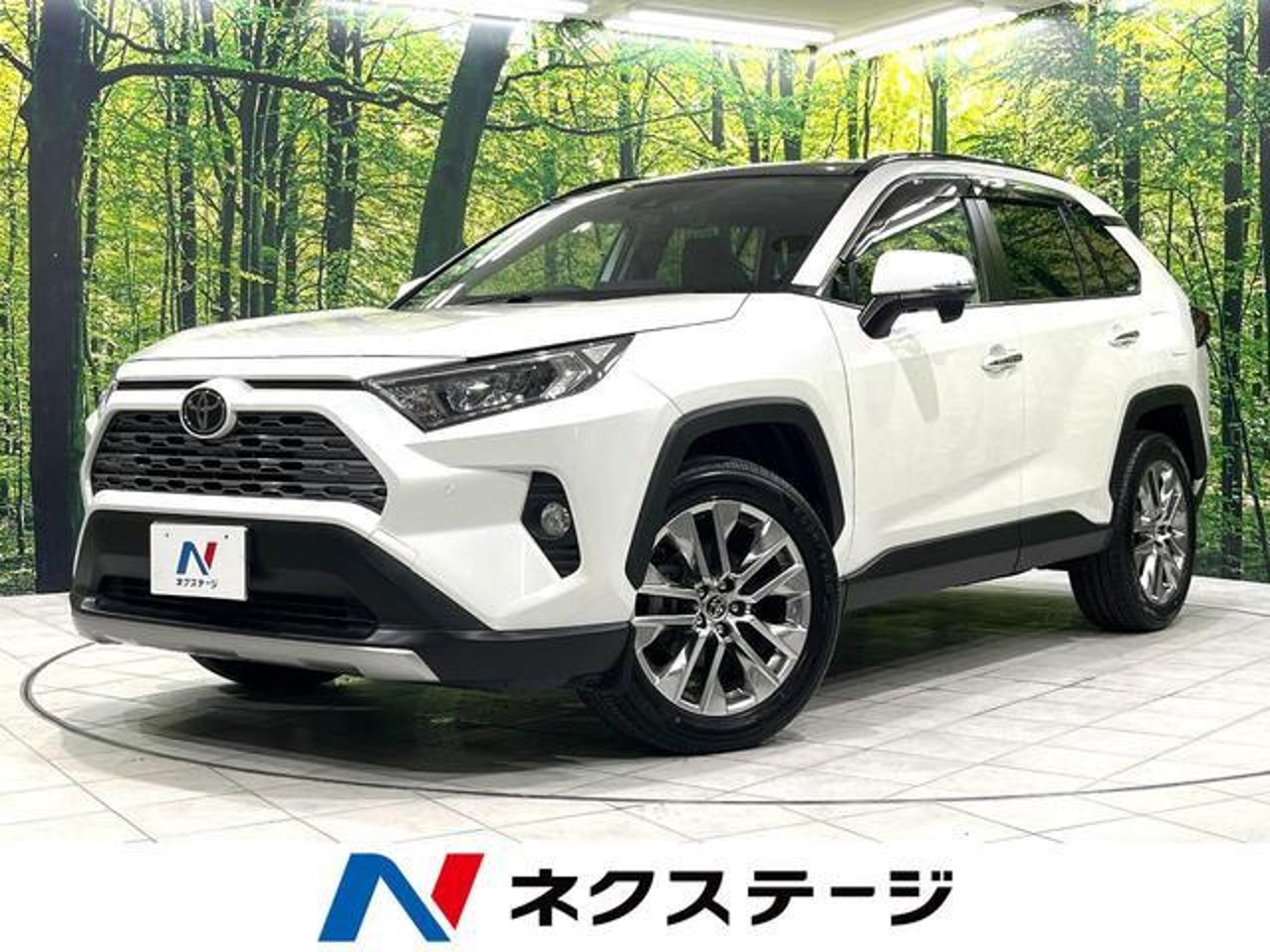 2019 Toyota Rav4, photo 1 of 1