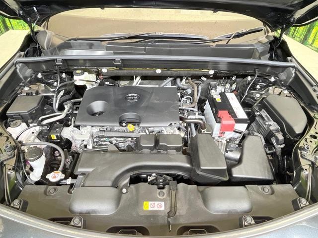 26314454_carP_l_16.jpg