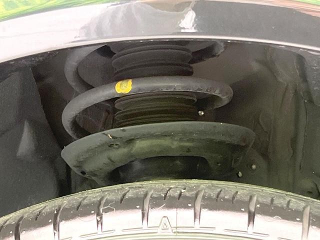 26314454_carP_l_20.jpg