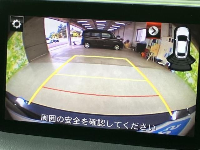 24117656_carP_l_7.jpg