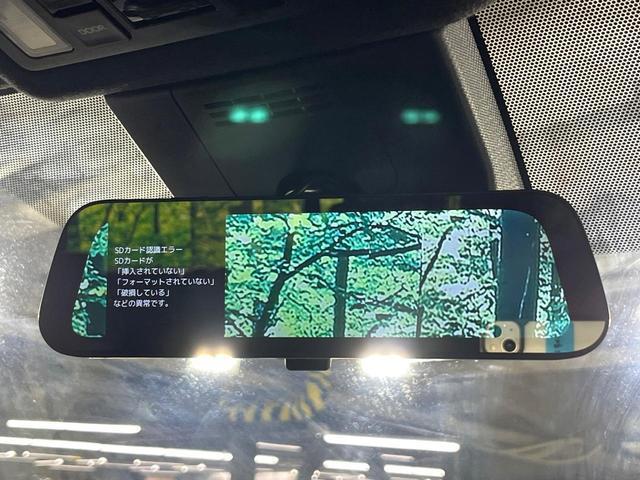 24849646_carP_l_13.jpg