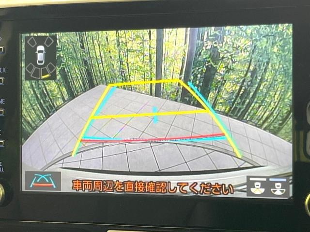 24932479_carP_l_4.jpg