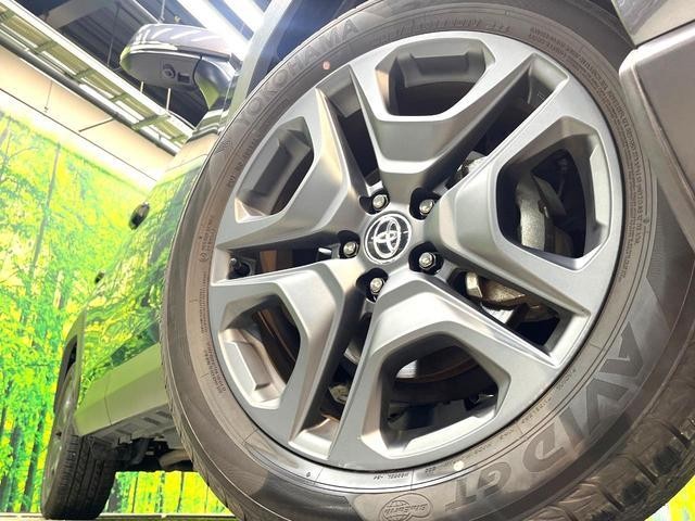 26838356_carP_l_7.jpg