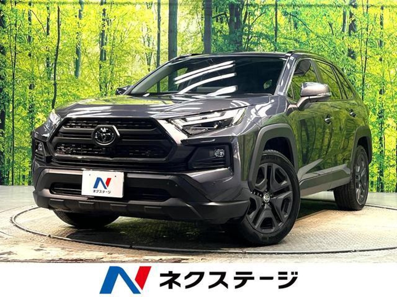 2025 Toyota Rav4, photo 1 of 1