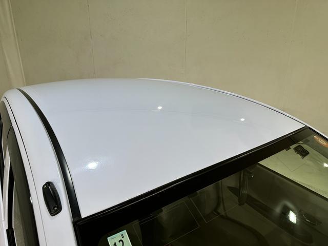24046011_carP_l_20.jpg
