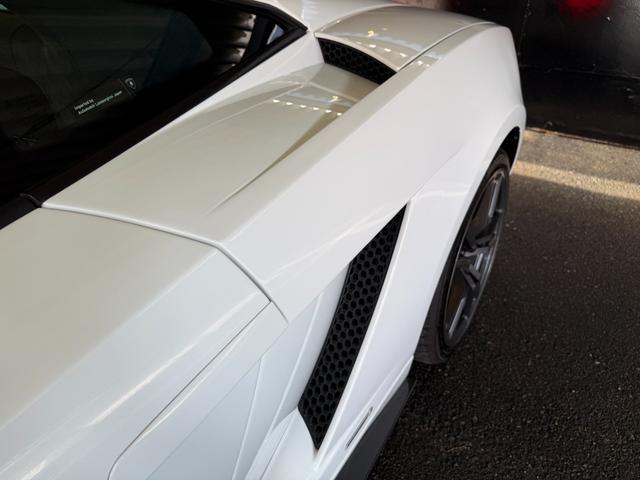 9800085A30260210W00317.jpg