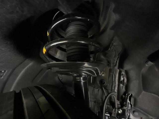 25384344_carP_l_20.jpg