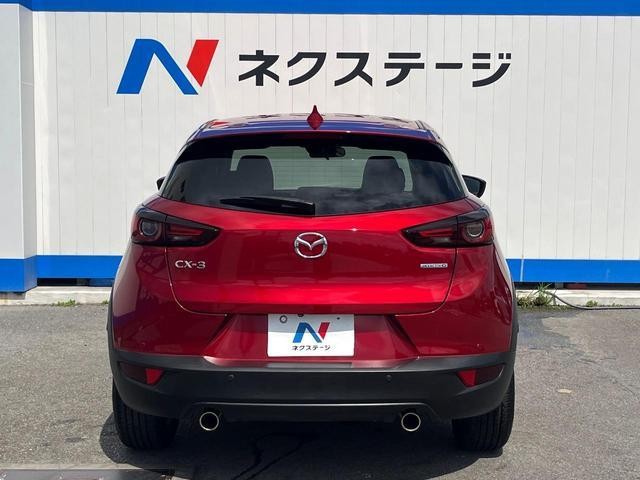 26314555_carP_l_11.jpg