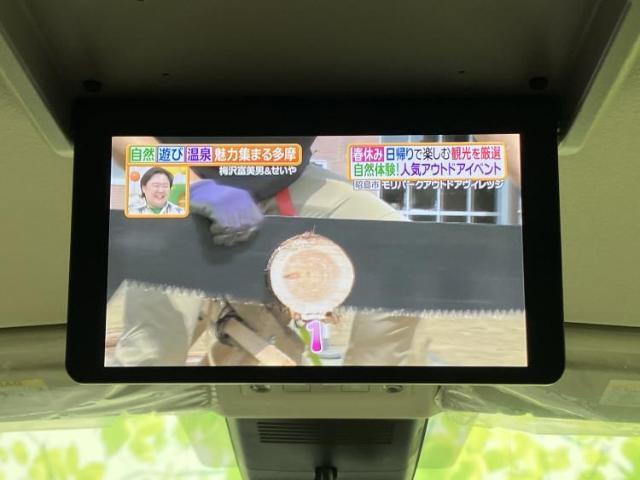 22922874_carP_l_6.jpg
