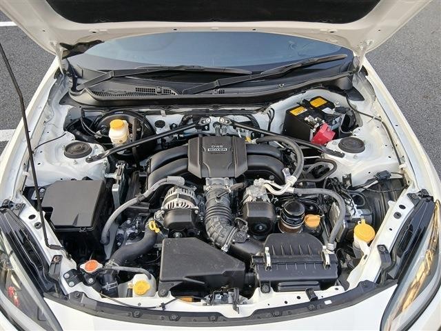26853988_carP_l_20.jpg