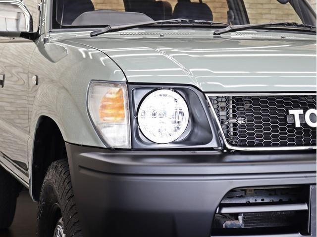 25426014_carP_l_19.jpg
