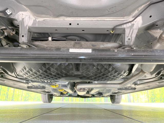 23734647_carP_l_16.jpg