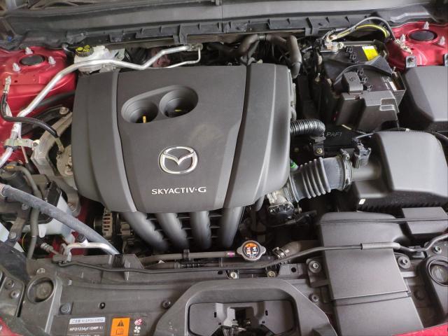 24238755_carP_l_17.jpg